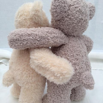 Little Ted the Bear
