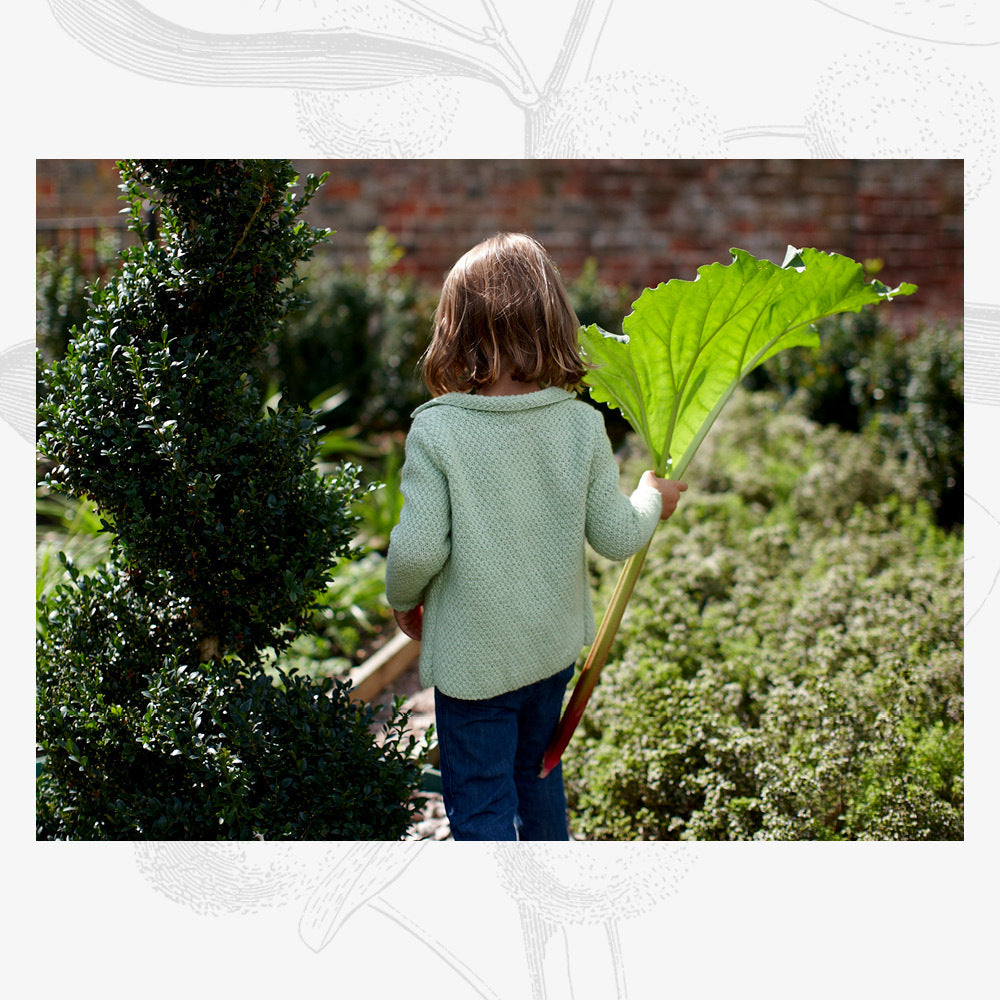 Willow & Lark Hugo Jacket Knitting Pattern