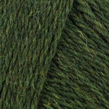 Kelp (115)