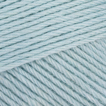 Seafoam Blue (1231)