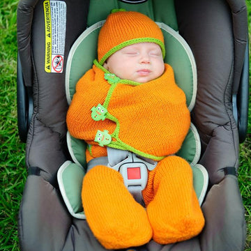 SnuggleBug Car Seat Cozy