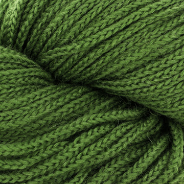 Shamrock (29)