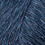 Blue Ribbon (8629)