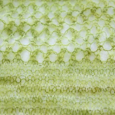 Plymouth Yarn Cape Town Collection Kid Gloss Hand Dyed Yarn - Mohair DK