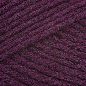 Dried Plum (9780)