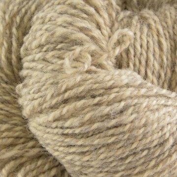 Ragg (9)