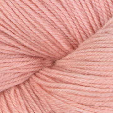 Peach Blossom (21591)