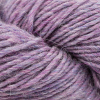 Clover (7109)