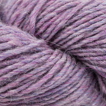Clover (7109)