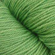 Lawn (22)