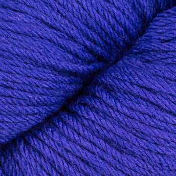 Wild Blueberry (05160)