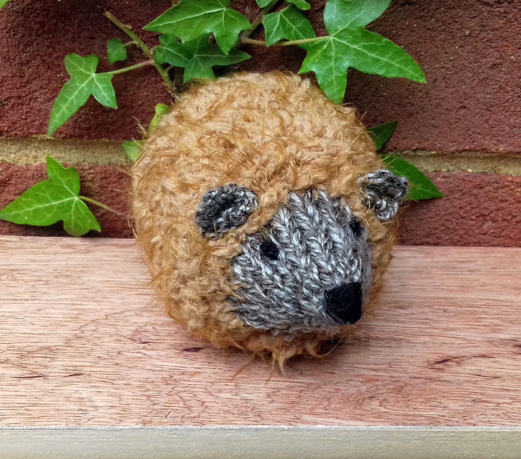 HedgeHUG - Chocolate Orange Cover