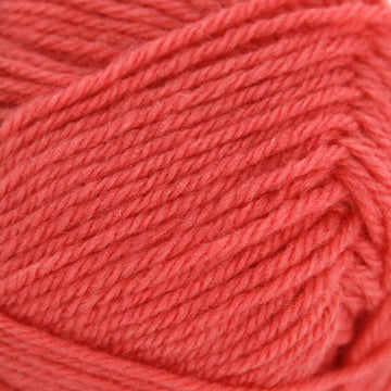 Coral (157)