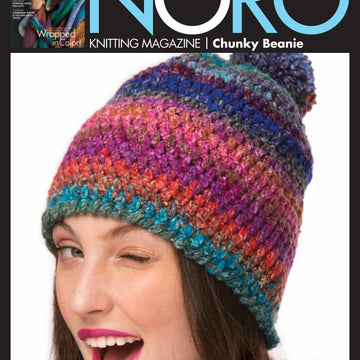 Noro Chunky Beanie PDF