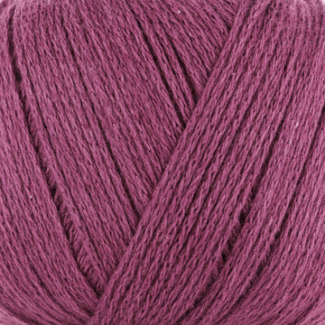 Plum (201534)