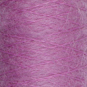 Orchid (37)