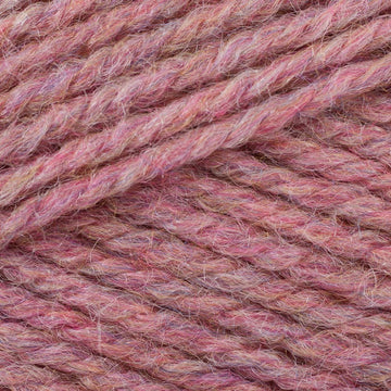 Wild Rose (3317)