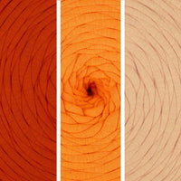 Bold Orange Shades (016)