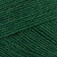 Forest Green (0094)