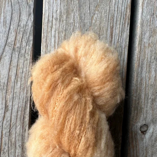 Koigu Andra Yarn - Merino Wool DK