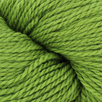 Avocado (16)