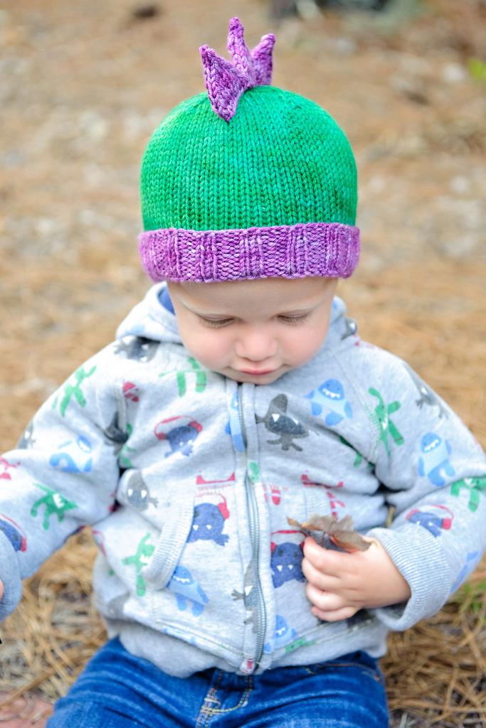 Roar, a Dinosaur Hat