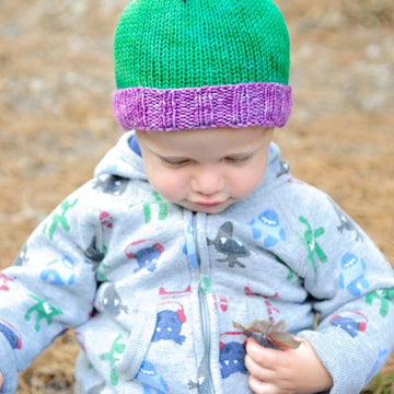 Roar, a Dinosaur Hat