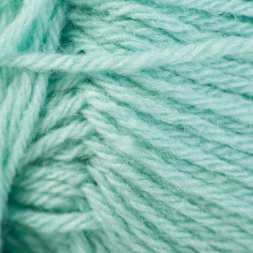 Choo Choo Train (419)