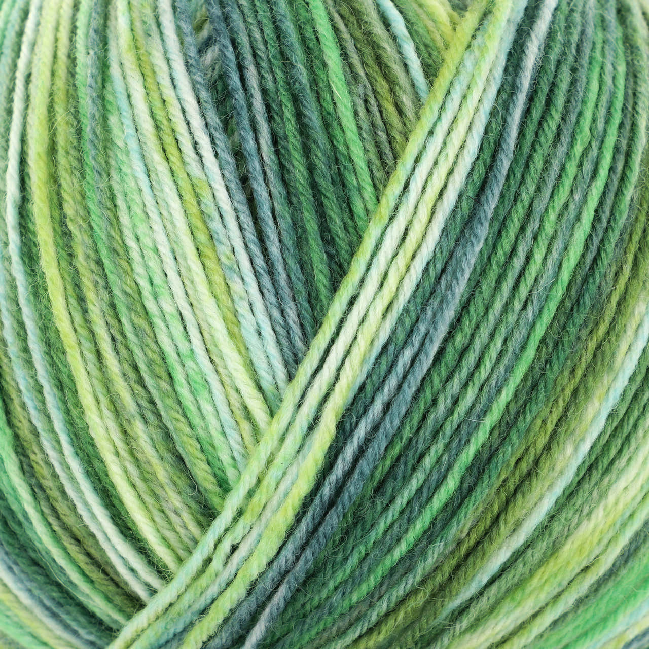 Lana Grossa Landlust Die Sockenwolle Yarn - Merino Wool 4 Ply