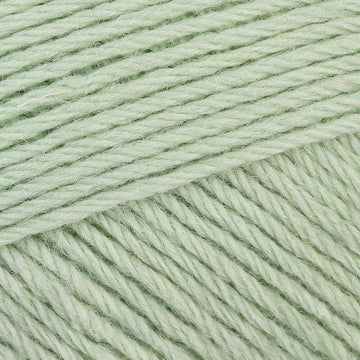 Pistachio Green (1224)