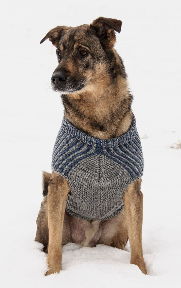 Blue Sky Fibers Bird Island Dog Sweater Knitting Pattern
