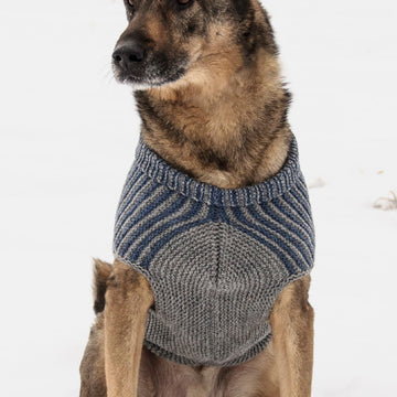 Blue Sky Fibers Bird Island Dog Sweater PDF