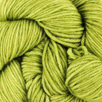 Lettuce (DUPL37)