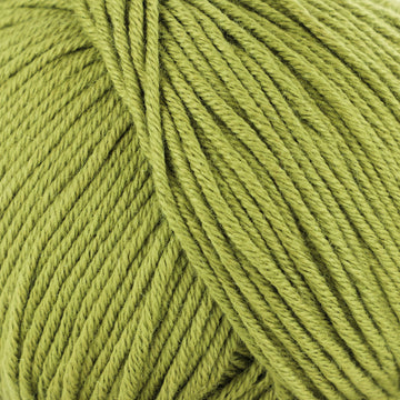 Avocado (6)