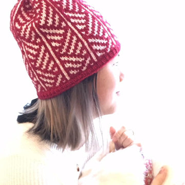 Latvian Team Hat 2018