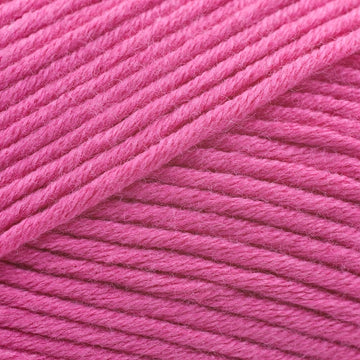 Fuchsia (536)