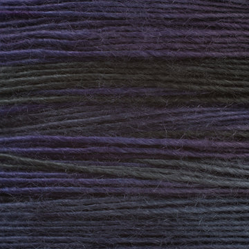 H4 (0004)