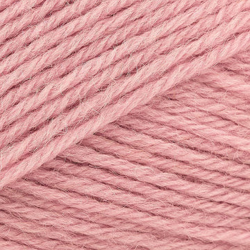 Rose Petal (1533)