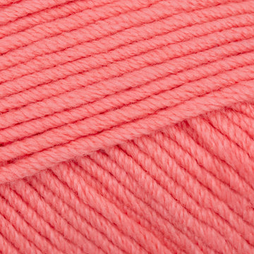 Salmon Rose (60)