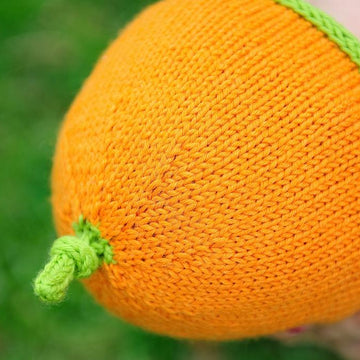 SnuggleBug Car Seat Cozy