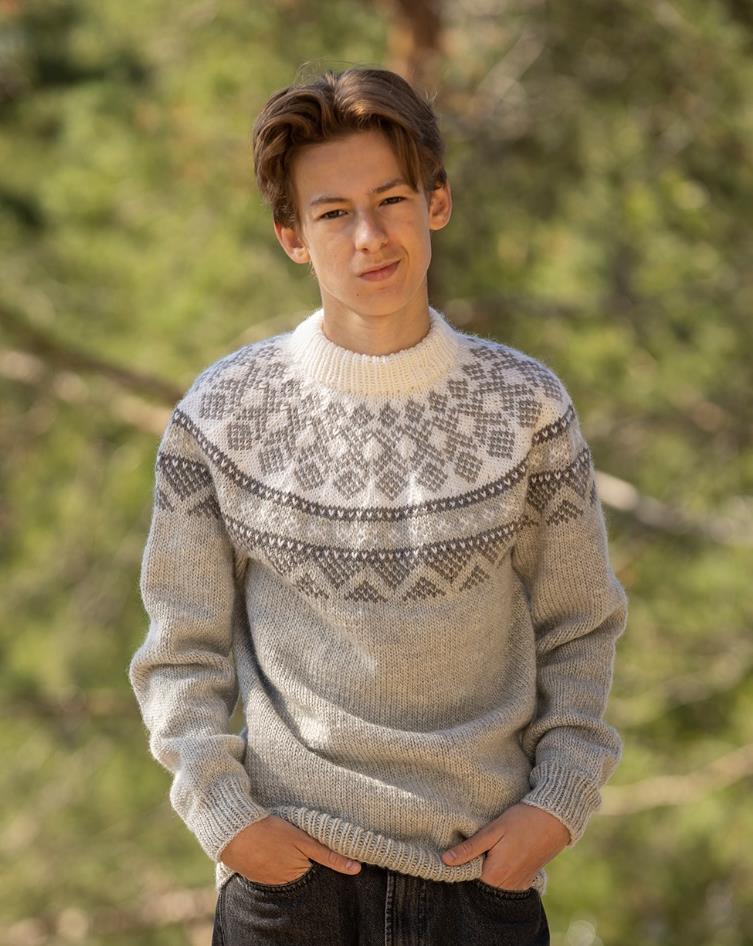 Harda Sweater in Viking Garn Viking Wool