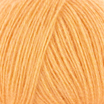 Apricot (3)