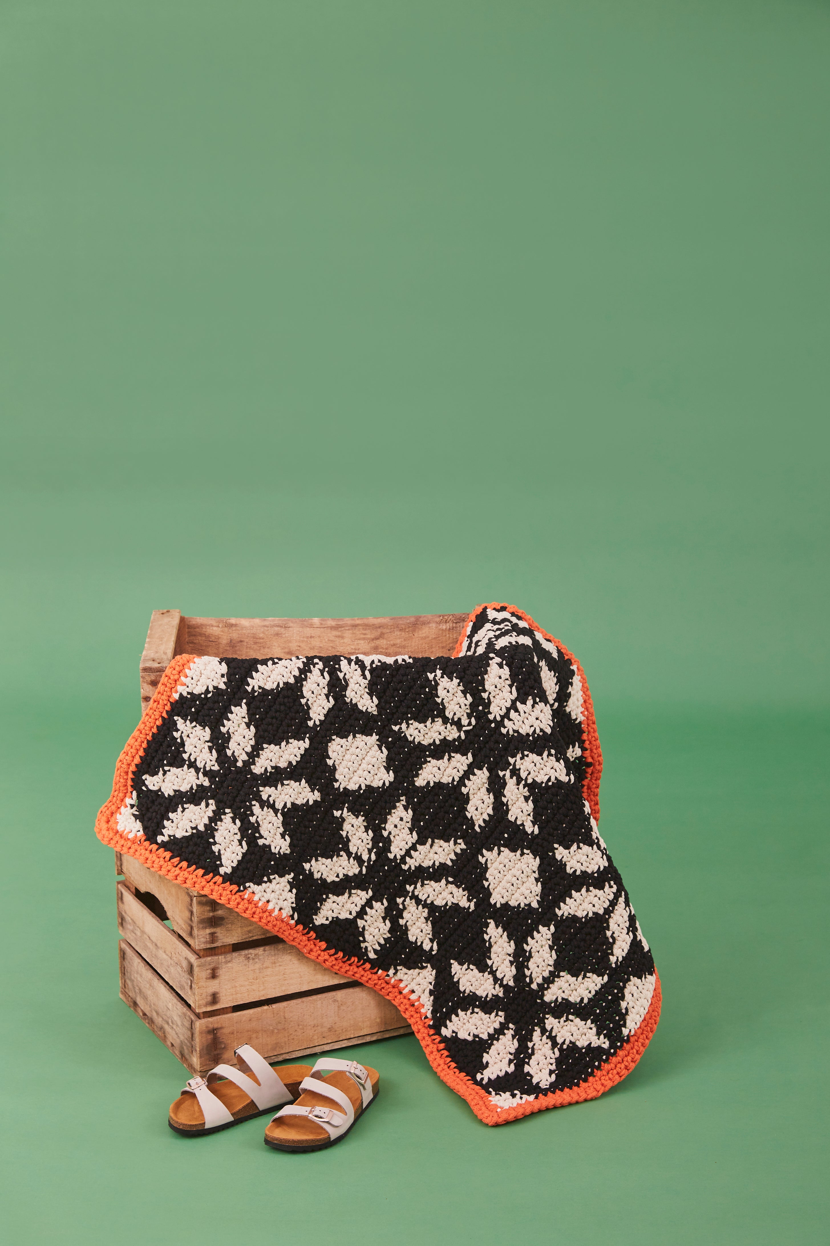 Paintbox Yarns Monochrome Burst Mat Crochet Pattern