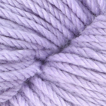 Aster (6114)