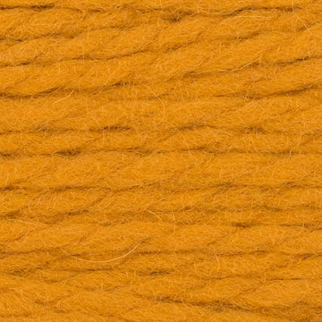 Butternut Squash (8444)