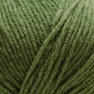 Sage (200743)