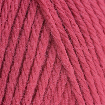 Blush (506)