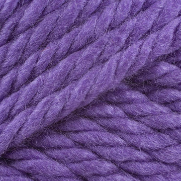 Minneapolis Purple (147)