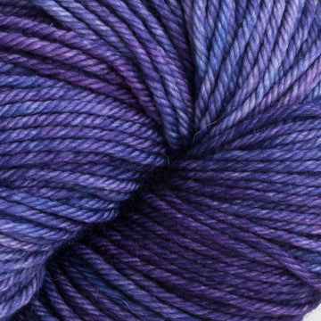 Iris (116)