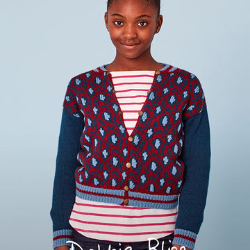 Debbie Bliss Frank Knitting Pattern